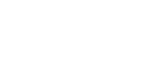 NextPointHost logo white